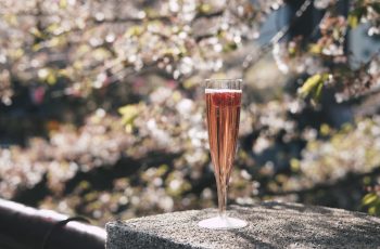 Pourquoi le champagne coûte-t-il cher ?